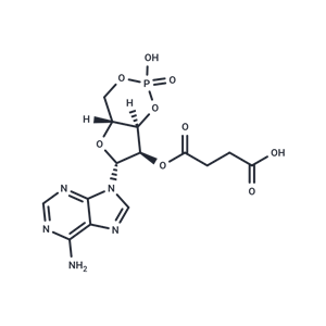 2'-O-Monosuccinyladenosine-3',5'-cyclic monophosphate|T35421|TargetMol