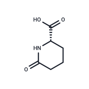 L-Pyrohomoglutamic Acid|T36110|TargetMol