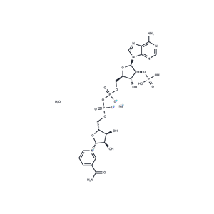 NADP+ (sodium salt hydrate),NADP+ (sodium salt hydrate)