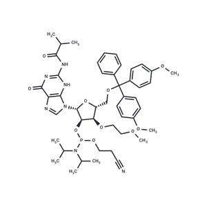 化合物 3’-O-MOE-G(iBu)-2’-phosphoramidite|TNU1391|TargetMol