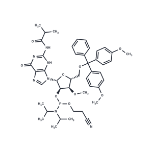 化合物 3’-O-Me-G(iBu)-2’-phosphoramidite|TNU1384|TargetMol