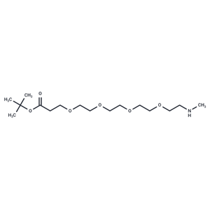 化合物 Methylamino-PEG4-Boc|T16053|TargetMol