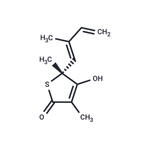 化合物 Thiolactomycin|T28964|TargetMol