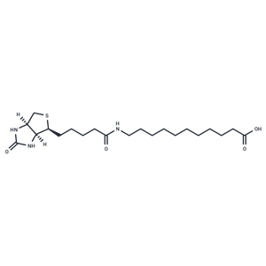 化合物 (+)-Biotin-SLC|T18551|TargetMol