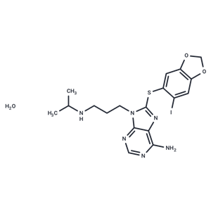 化合物 PU-H71 hydrate|T71247|TargetMol