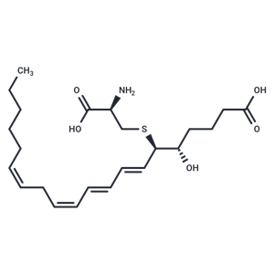 白三烯 E4,Leukotriene E4