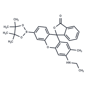 化合物 NucPE1|T19042|TargetMol