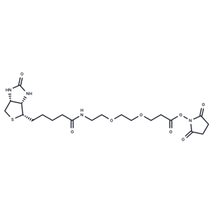 化合物 Biotin-PEG2-NHS ester|T14588|TargetMol