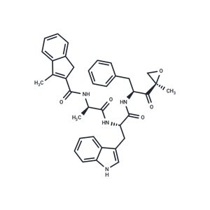 化合物 PR-924|T16568|TargetMol