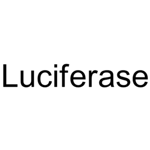 熒光素酶,Luciferase