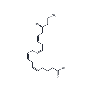 17(S)-HETE|T35849|TargetMol