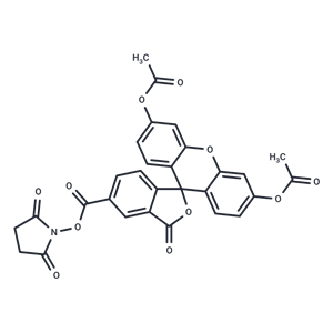 化合物 5-Carboxyfluorescein diacetate N-succinimidyl ester,5-Carboxyfluorescein diacetate N-succinimidyl ester