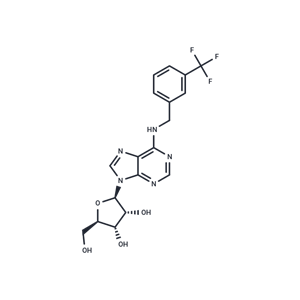 化合物 N6-(3-Trifluoromethylbenzyl)adenosine|TNU0455|TargetMol