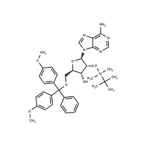 化合物 5’-O-(4,4’-Dimethoxytrityl)-2’-O-t-butyldimethylsilyl adenosine|TNU0600|TargetMol