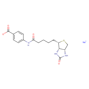 (+)-Biotin 4-Amidobenzoic Acid (sodium salt)|T35411|TargetMol