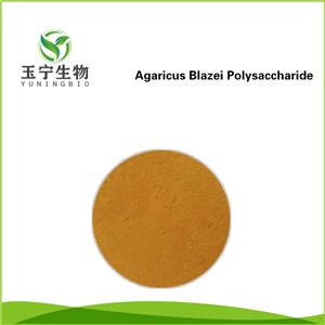 姬松茸多糖,Agaricus Blazei Polysaccharide