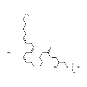 1-Arachidonoyl Lysophosphatidic Acid (ammonium salt)|T36452|TargetMol