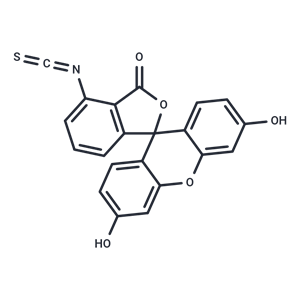 6-異硫氰酸熒光素,6-FITC