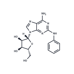 化合物 CV1808|T19696|TargetMol