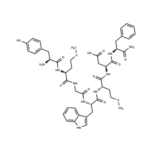 CCK (27-33) (non-sulfated)|T37206|TargetMol