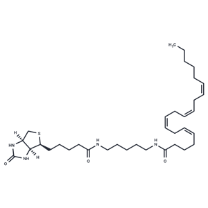 Arachidonic Acid-biotin|T38070|TargetMol