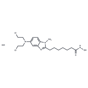 化合物 Tinostamustine HCl|T70190|TargetMol