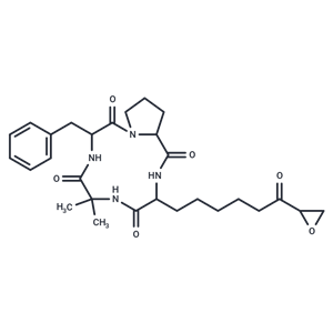 化合物 Chlamydocin|T41337|TargetMol