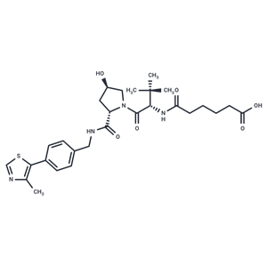 VH 032 amide-alkylC4-acid|T36280|TargetMol