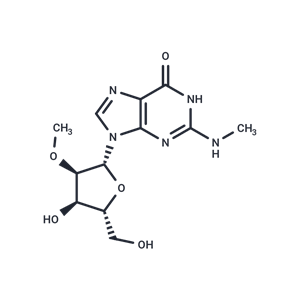 化合物 2’-O-Methyl-N2-methylguanosine|TNU0126|TargetMol