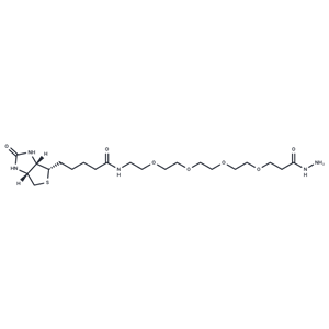 化合物 Biotin-PEG4-hydrazide,Biotin-PEG4-hydrazide