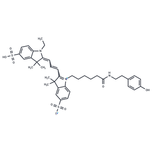 Cyanine 3 Tyramide|T39181|TargetMol