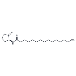 N-pentadecanoyl-L-Homoserine lactone|T37745|TargetMol