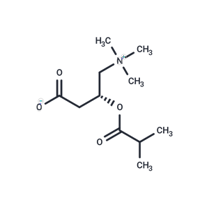 化合物 Isobutyryl-L-carnitine|T19381|TargetMol