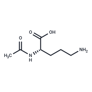 N-乙酰鳥氨酸|T5269|TargetMol