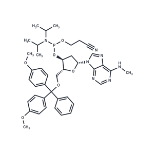 N6-Methyl-dA phosphoramidite|T38454|TargetMol