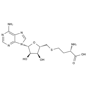 CATO_S-(5'-腺苷)-L-高半胱氨酸_979-92-0_97%