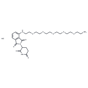 化合物 Pomalidomide 4'-PEG5-amine|T83953|TargetMol