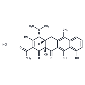 Epianhydrotetracycline (hydrochloride)|T36599|TargetMol