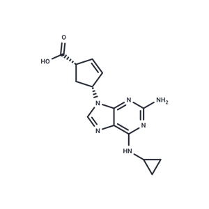 Abacavir Carboxylate|T36834|TargetMol