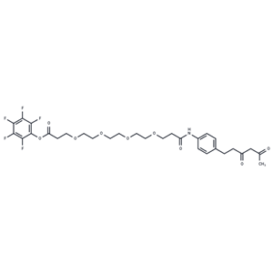 化合物 Diketone-PEG4-PFP ester|T17829|TargetMol