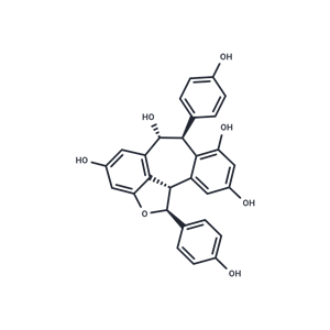 化合物 Ampelopsin A|TN6213|TargetMol