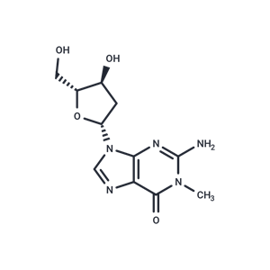 化合物 2’-Deoxy-N1-methylguanosine|TNU1267|TargetMol