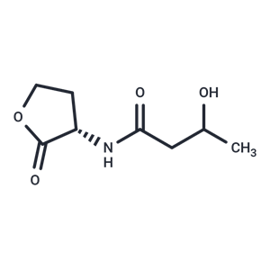 化合物 3-Hydroxy-C4-HSL,3-Hydroxy-C4-HSL