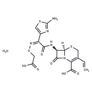 Cefixime trihydrate|T38643|TargetMol