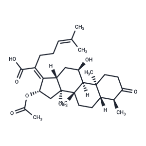 3-keto Fusidic Acid|T35660|TargetMol