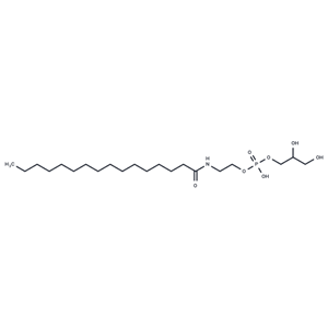 Glycerophospho-N-Palmitoyl Ethanolamine|T38049|TargetMol