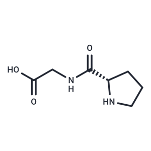 化合物 L-Prolylglycine|T65246|TargetMol