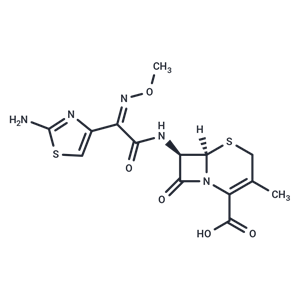 化合物 Cefetamet|T75274|TargetMol