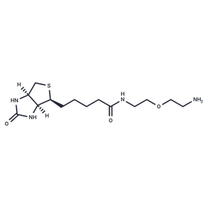 Biotin-PEG1-NH2|T40914|TargetMol