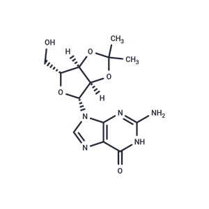 2',3'-O-Isopropylideneguanosine|T37105|TargetMol